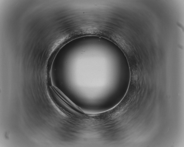 X0000098220630200804241344
