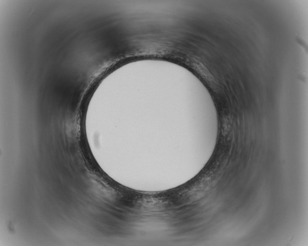 X0000098220632200804241345