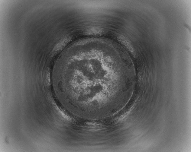 X0000098220633200804241345