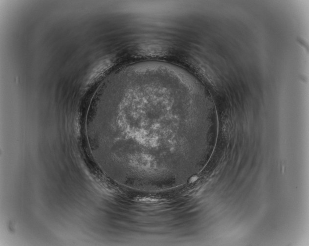X0000098220635200804241345