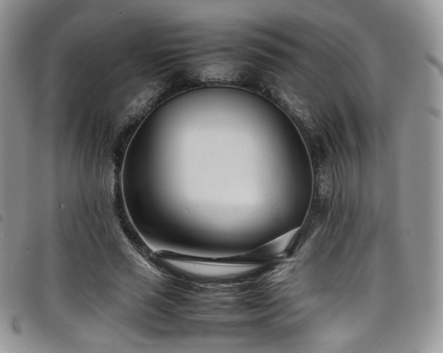 X0000098220637200804241345