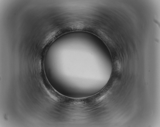 X0000098220638200804241345