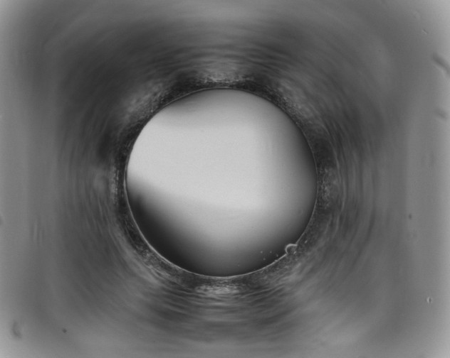 X0000098220639200804241345