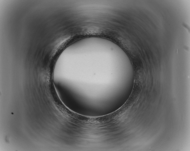 X0000098220640200804241345