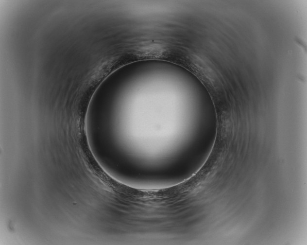 X0000098220641200804241345