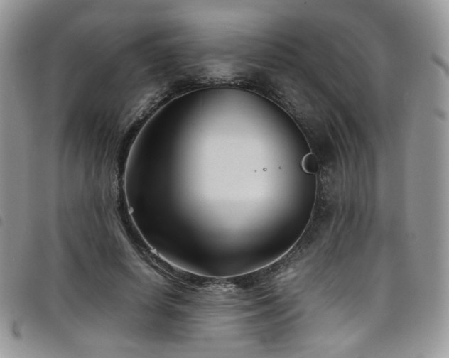 X0000098220642200804241345