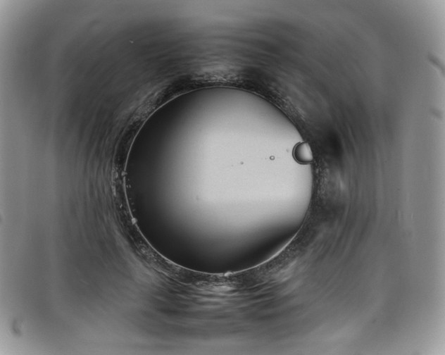 X0000098220643200804241345
