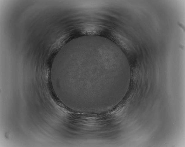 X0000098220645200804241345