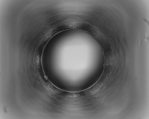 X0000098220646200804241345