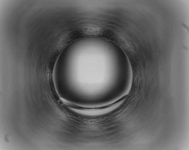 X0000098220647200804241345