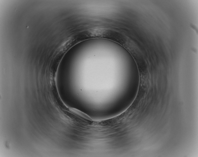 X0000098220648200804241345