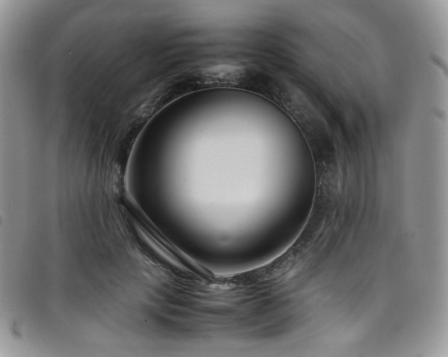 X0000098220649200804241345