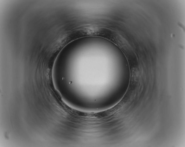 X0000098220650200804241345