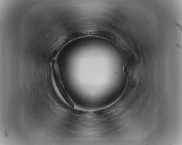 X0000098220652200804241345