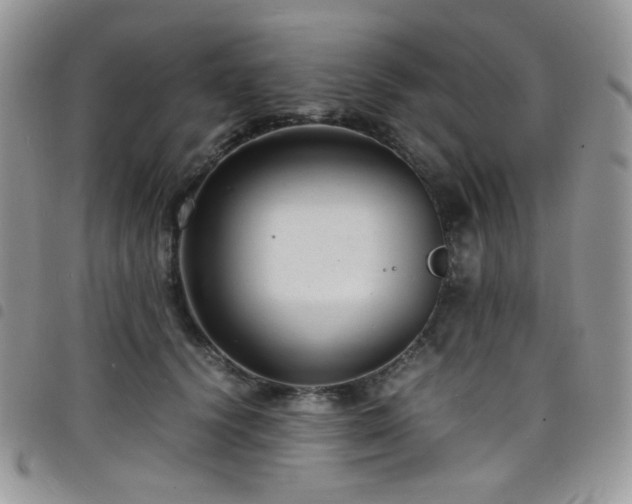 X0000098220656200804241345