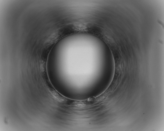 X0000098220658200804241345