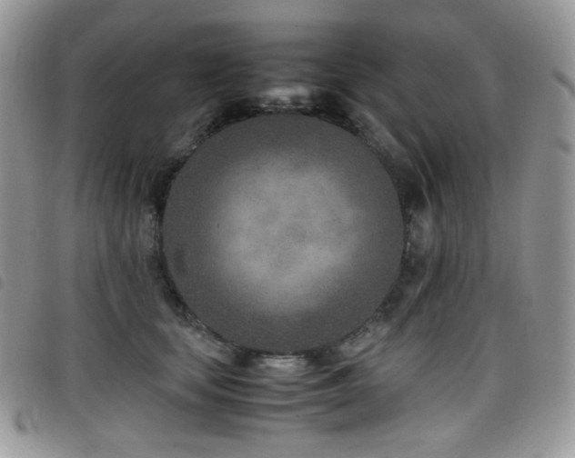 X0000098220659200804241345