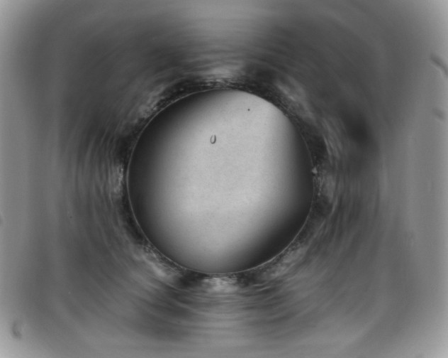 X0000098220660200804241345