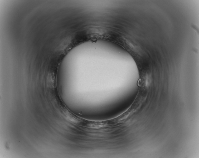 X0000098220661200804241345