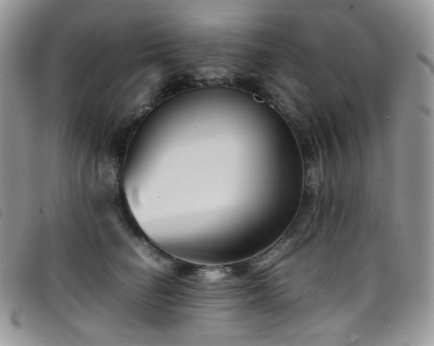 X0000098220662200804241345