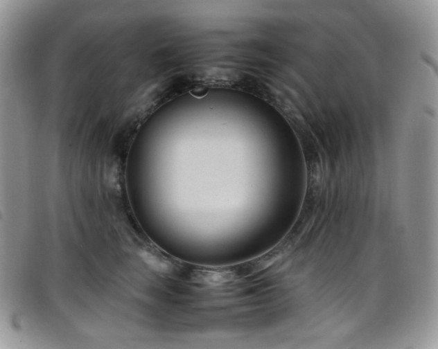 X0000098220663200804241345