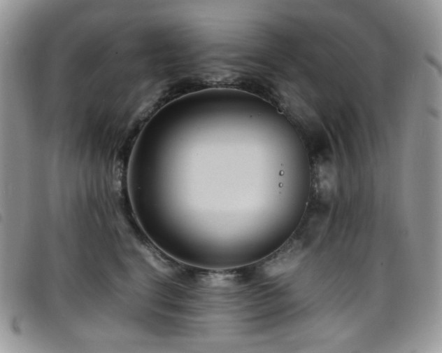 X0000098220664200804241345