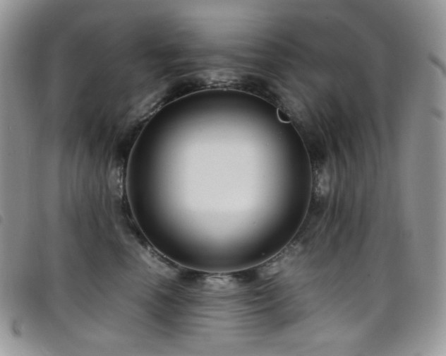 X0000098220666200804241345