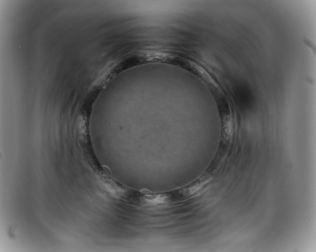 X0000098220667200804241345