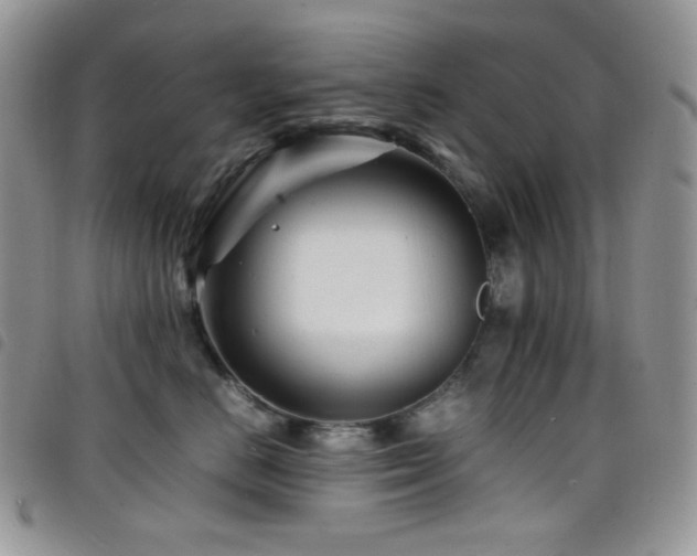X0000098220670200804241345