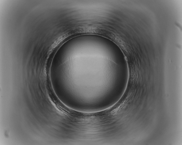 X0000098220674200804241344