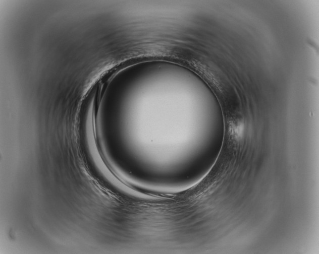 X0000098220676200804241344
