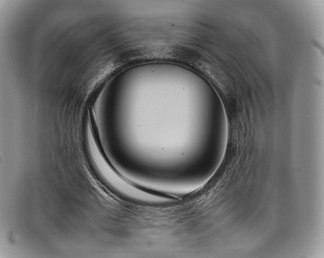 X0000098220677200804241344