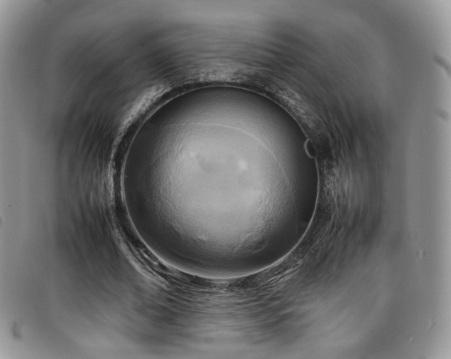 X0000098220678200804241344