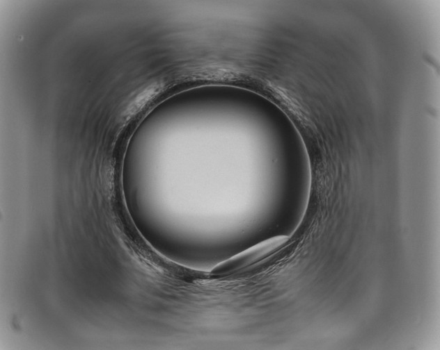 X0000098220679200804241344