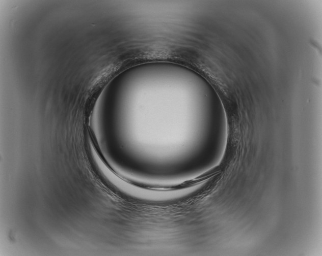 X0000098220681200804241344