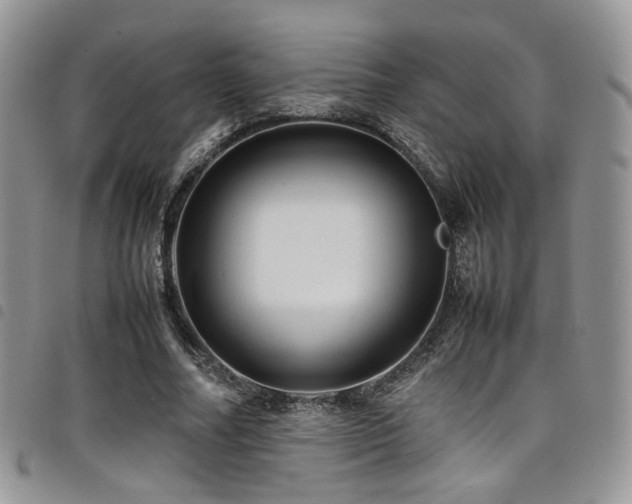 X0000098220682200804241344