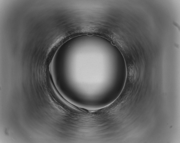X0000098220684200804241344