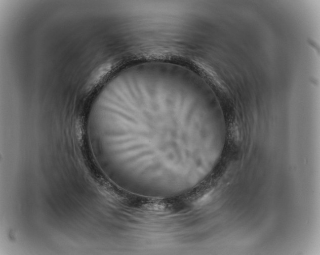 X0000098220687200804241344