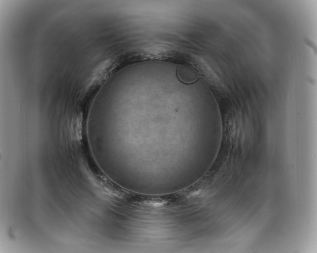 X0000098220694200804241344