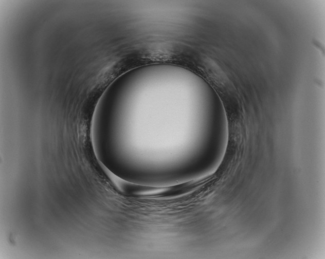 X0000098220697200804241344