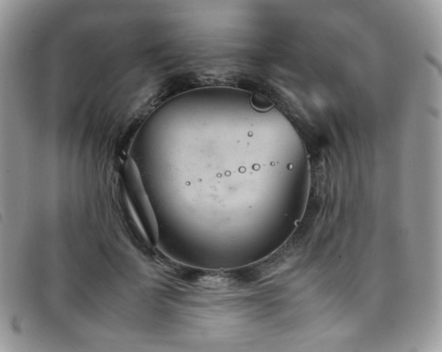 X0000098220699200804241344
