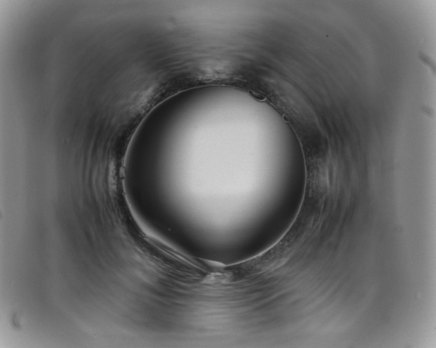 X0000098220700200804241344