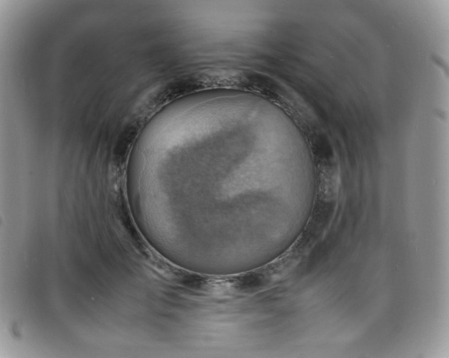 X0000098220701200804241344