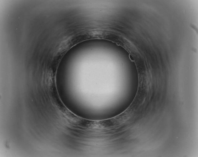 X0000098220702200804241344