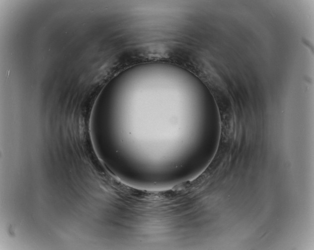 X0000098220704200804241344