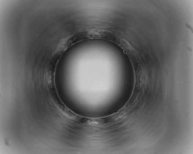 X0000098220706200804241344