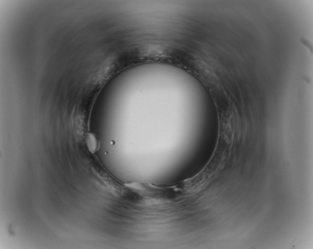 X0000098220708200804241344