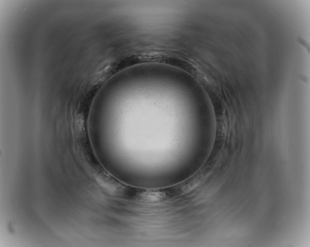X0000098220711200804241344