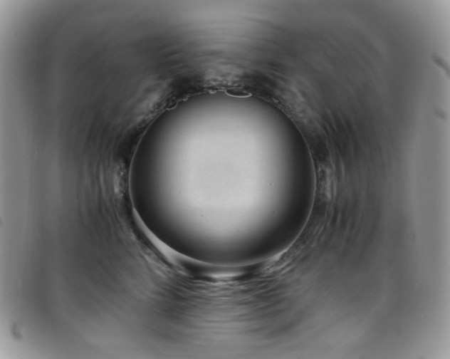 X0000098220712200804241344