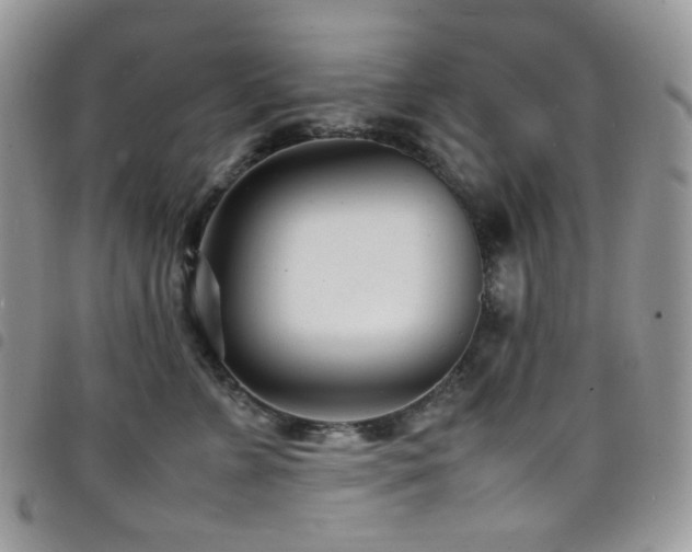 X0000098220715200804241344